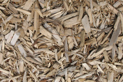 biomass boilers Scrainwood