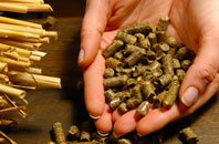 Scrainwood pellet boiler